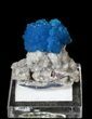 Vibrant Blue Cavansite Cluster on Stilbite - India #62882-1